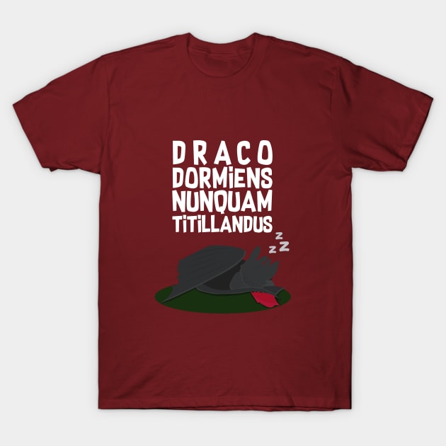 Never tickle a sleeping dragon T-Shirt by NatsuFan